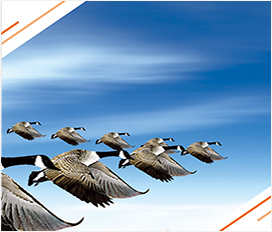 AGGAME��(�й���)���Źٷ���վ